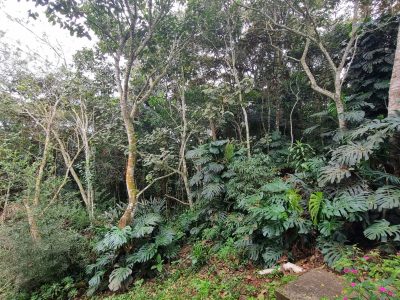 ceraj-centro-espiritualidade-rita-amada-de-jesus-casa-retiro-eventos